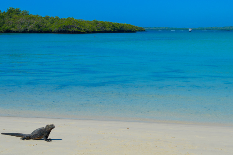 ilha de santa cruz galápagos
