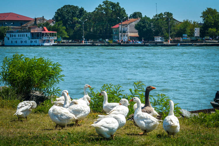 delta do danubio