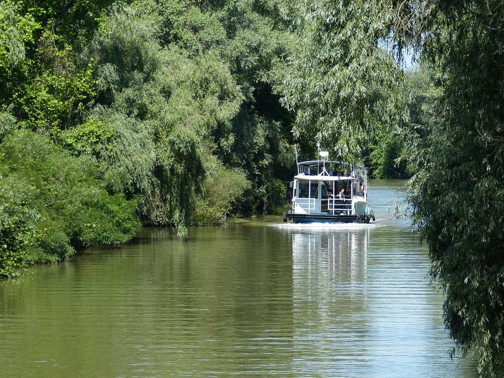 Delta do Danúbio (lancha)
