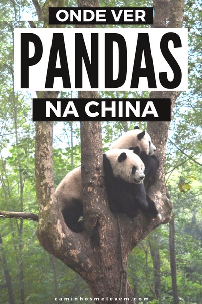 o que fazer em chengdu onde ver panda na china