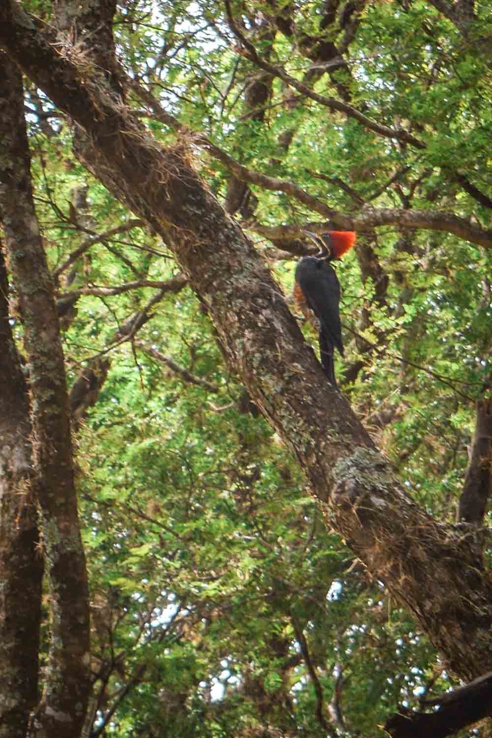 camping aabb represa jurumirim avare itai praia rio paranapanema