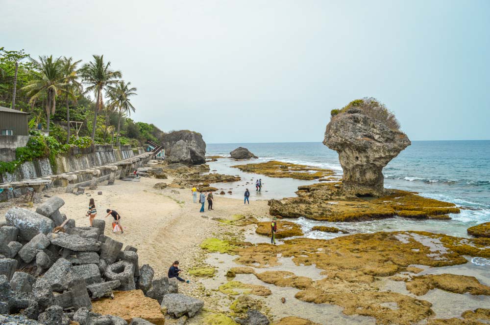 ilha lambai para nadar com tartarugas turismo em taiwan