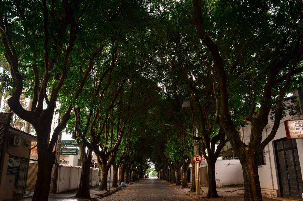 O Que Fazer em Araraquara bulevar dos oitis rua 5