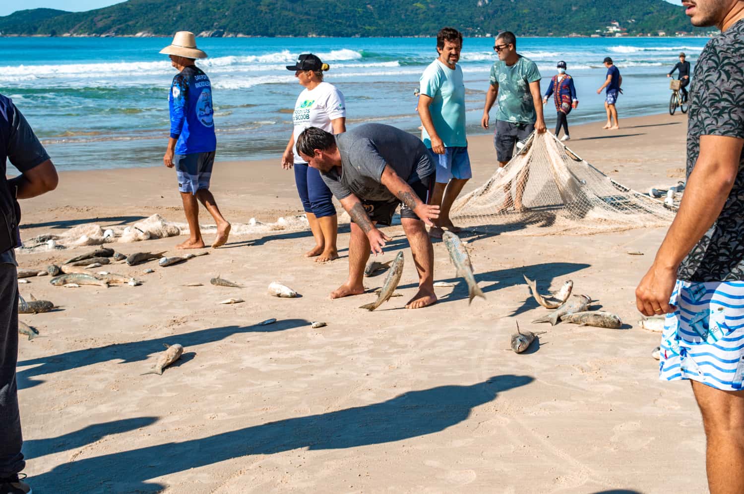 pesca na praia do mariscal bombinhas