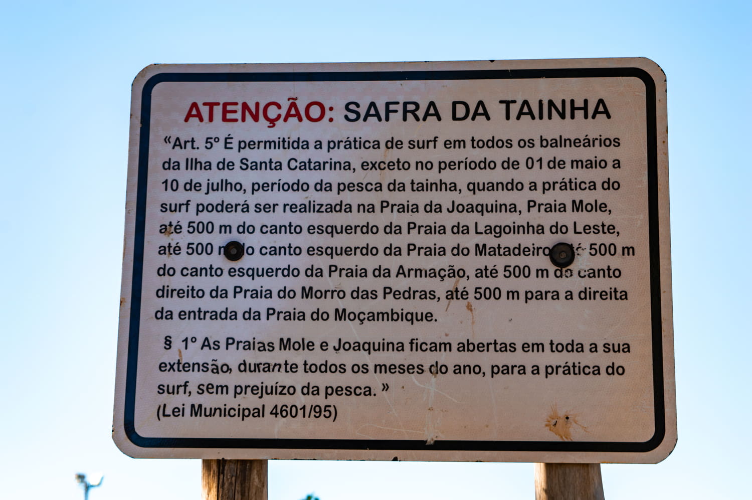 pesca da tainha em florianópolis santa catarina