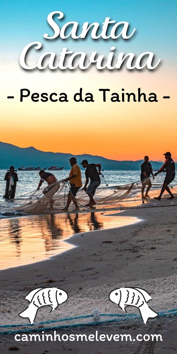 pesca da tainha em santa catarina bombinhas florianópolis 