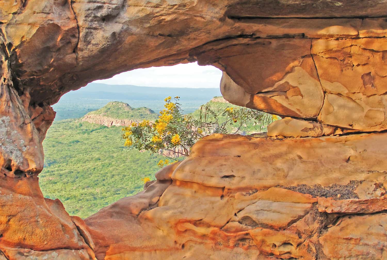 o que fazer em pernambuco lugares para conhecer pontos turísticos