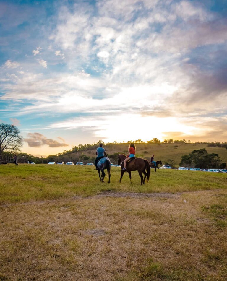 O Que Fazer em Pernambuco: TOP 16 Pontos Turísticos