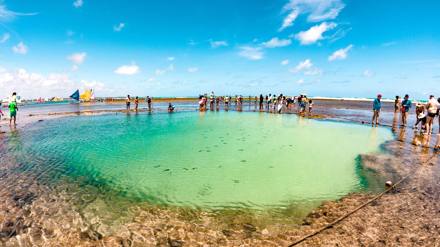 piscinas naturais de porto de galinhas melhores Praias de Pernambuco 