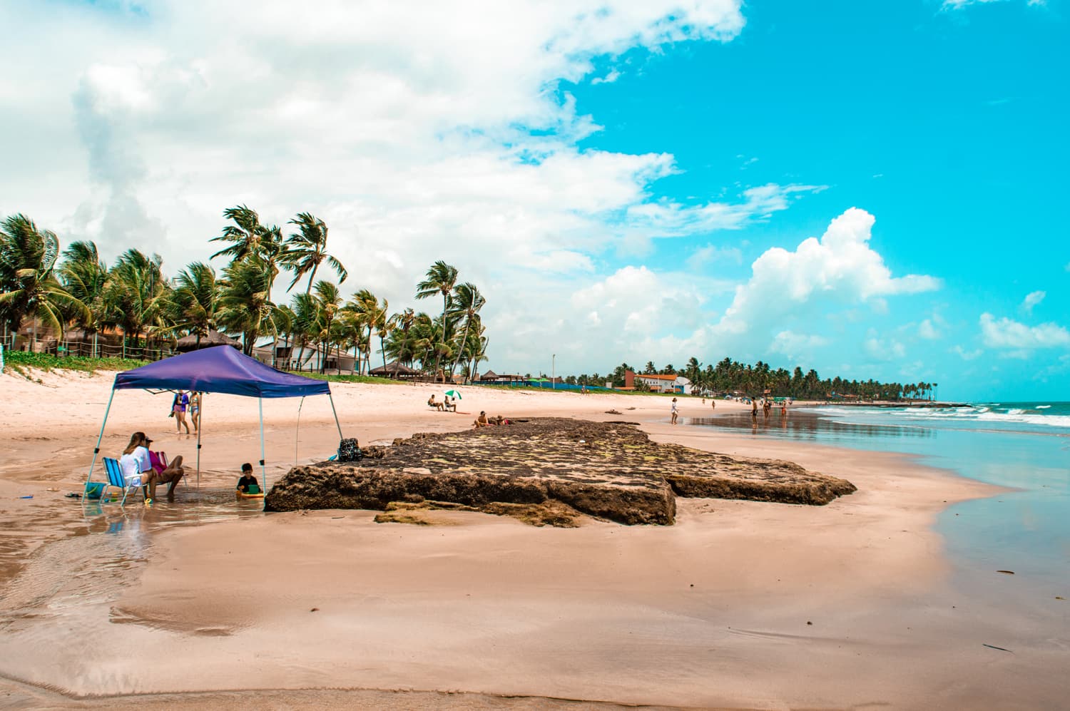 praia de tamandaré pernambuco