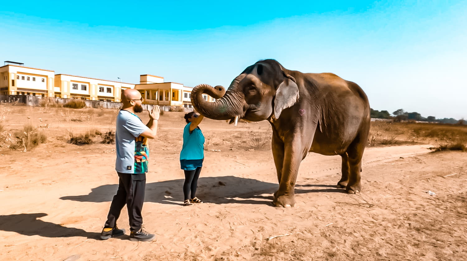 o que fazer em jaipur india rajastao