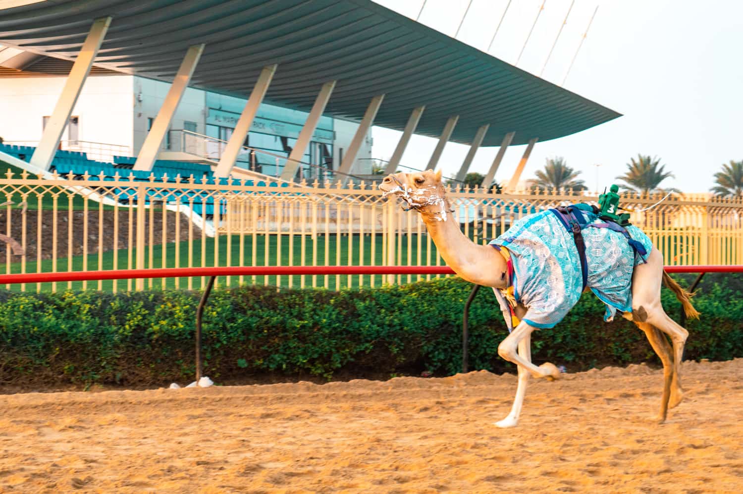 o que fazer em dubai pontos turísticos e roteiro 