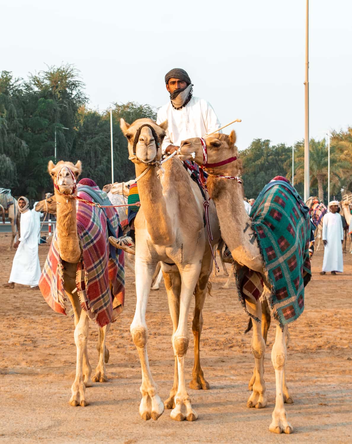 o que fazer em dubai pontos turísticos e roteiro 