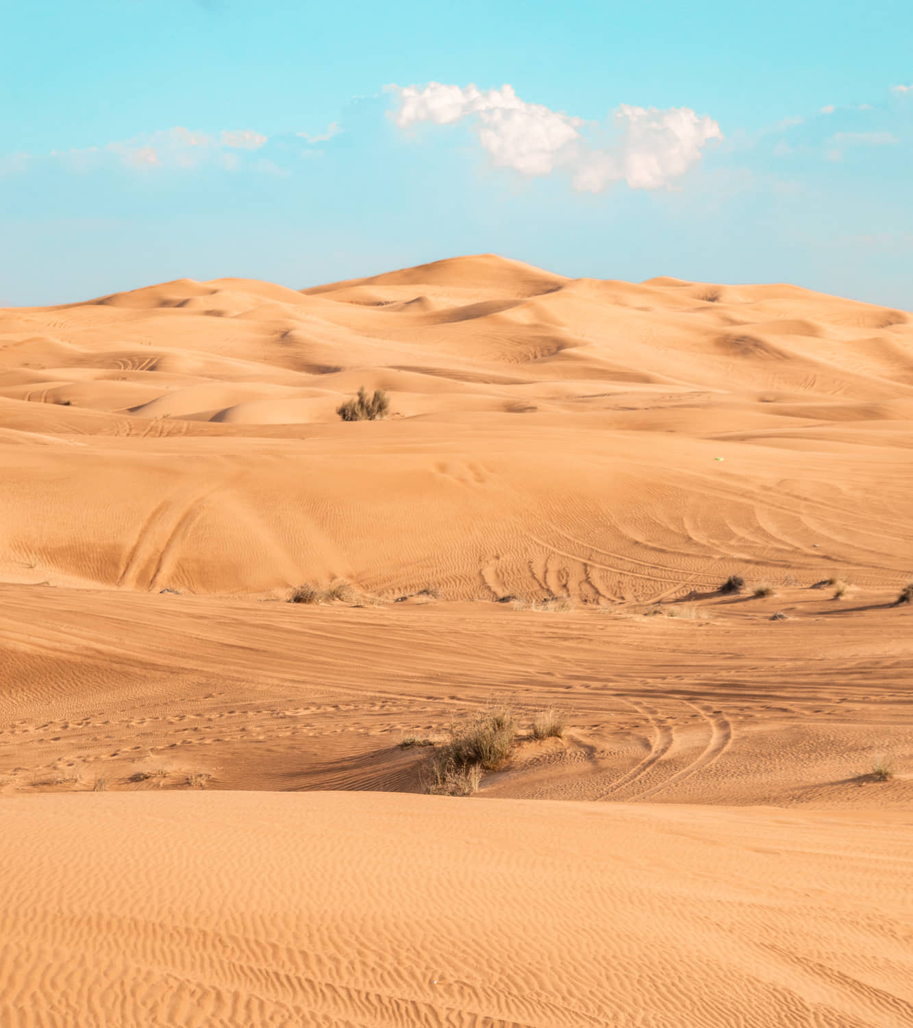 deserto de dubai passeio safari