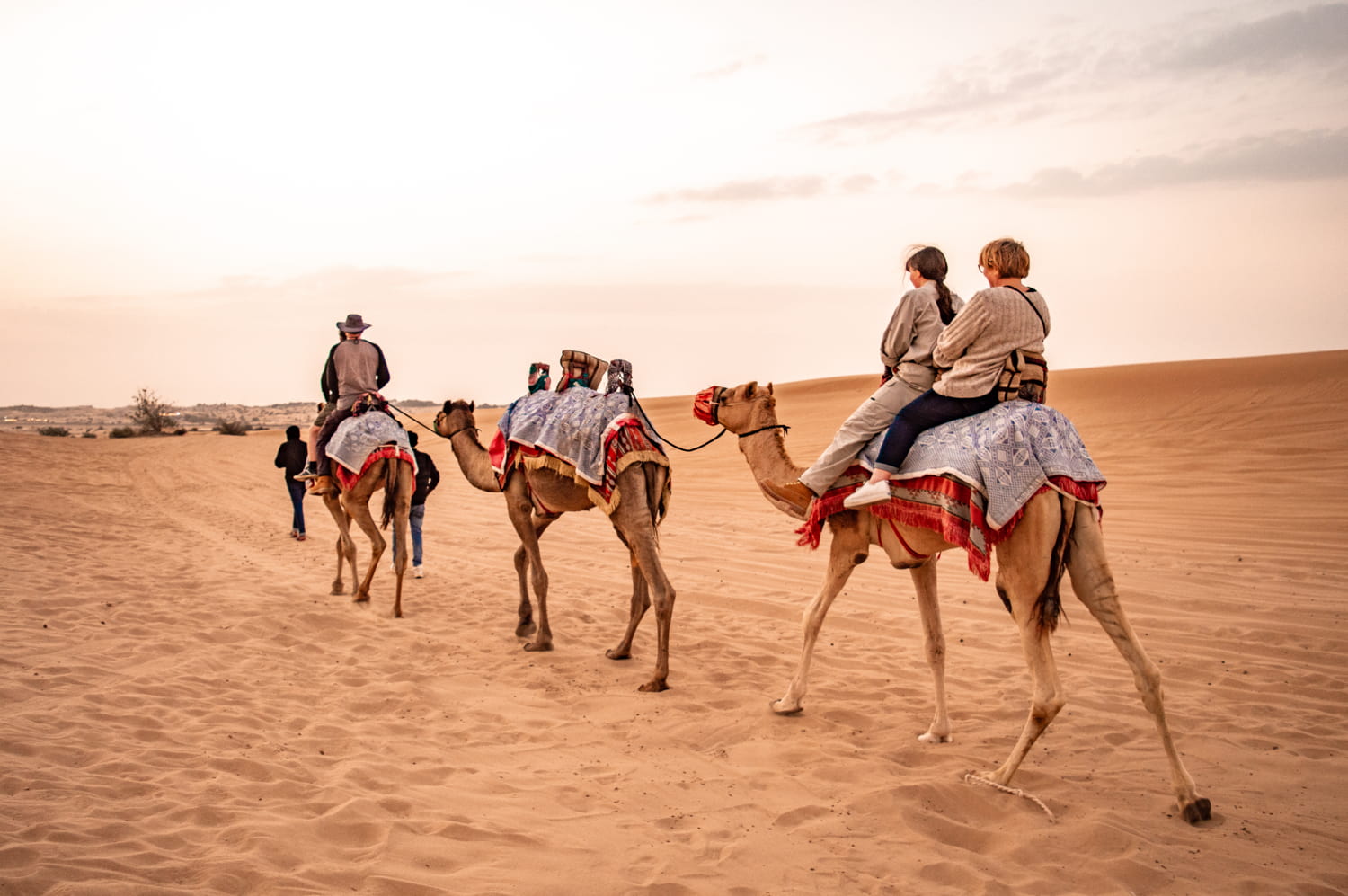 deserto de dubai passeio safari