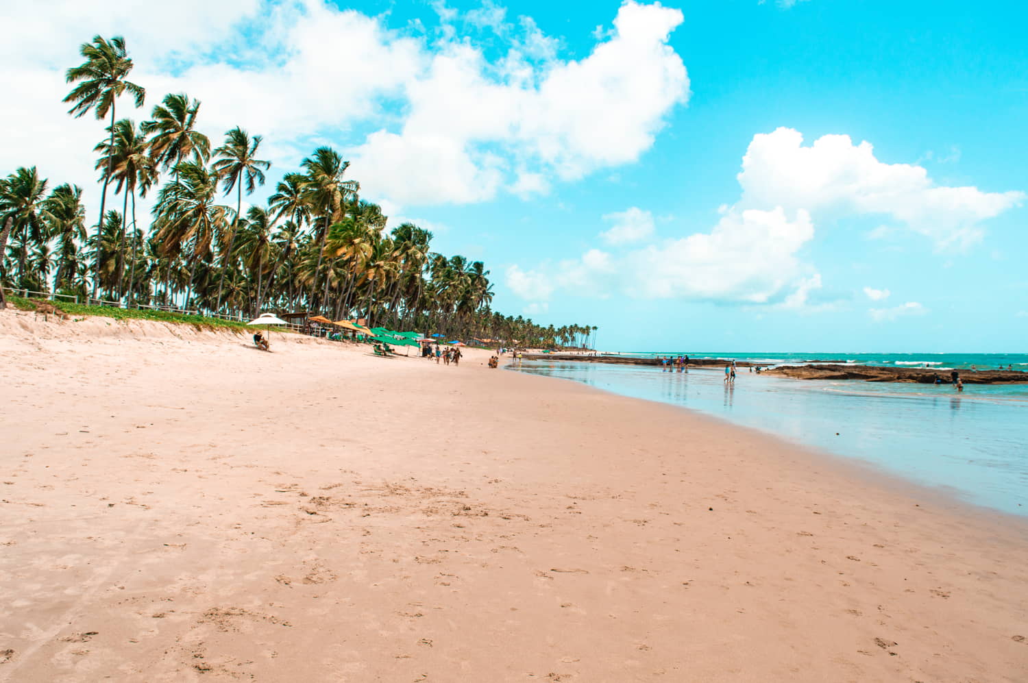 O Que Fazer na Praia de Tamandaré em Pernambuco