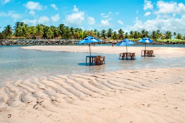 Praia e Pontal de Maracaípe: Um Paraíso em Porto de Galinhas!
