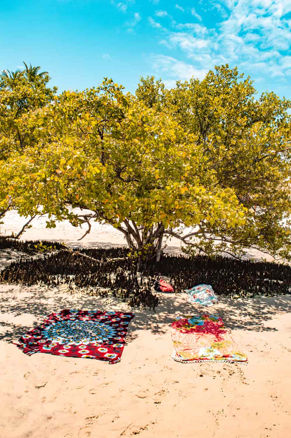 praia de muro alto pernambuco porto de galinhas