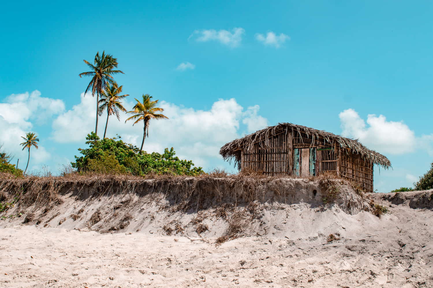 Barra de Mamanguape