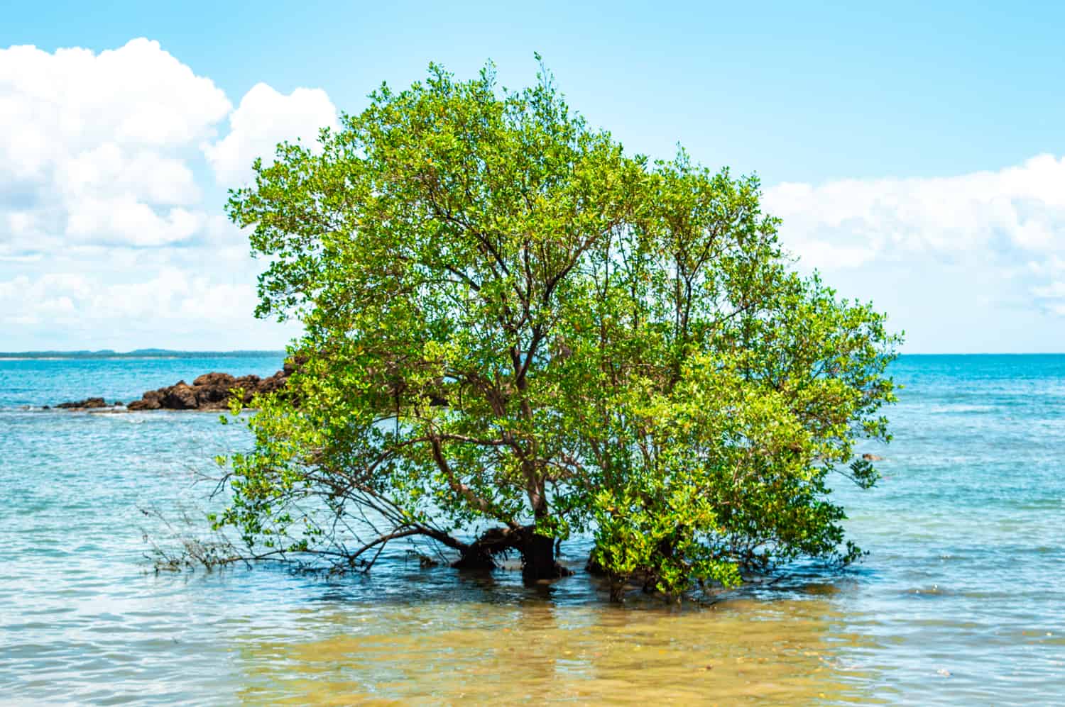 o que fazer em boipeba praias