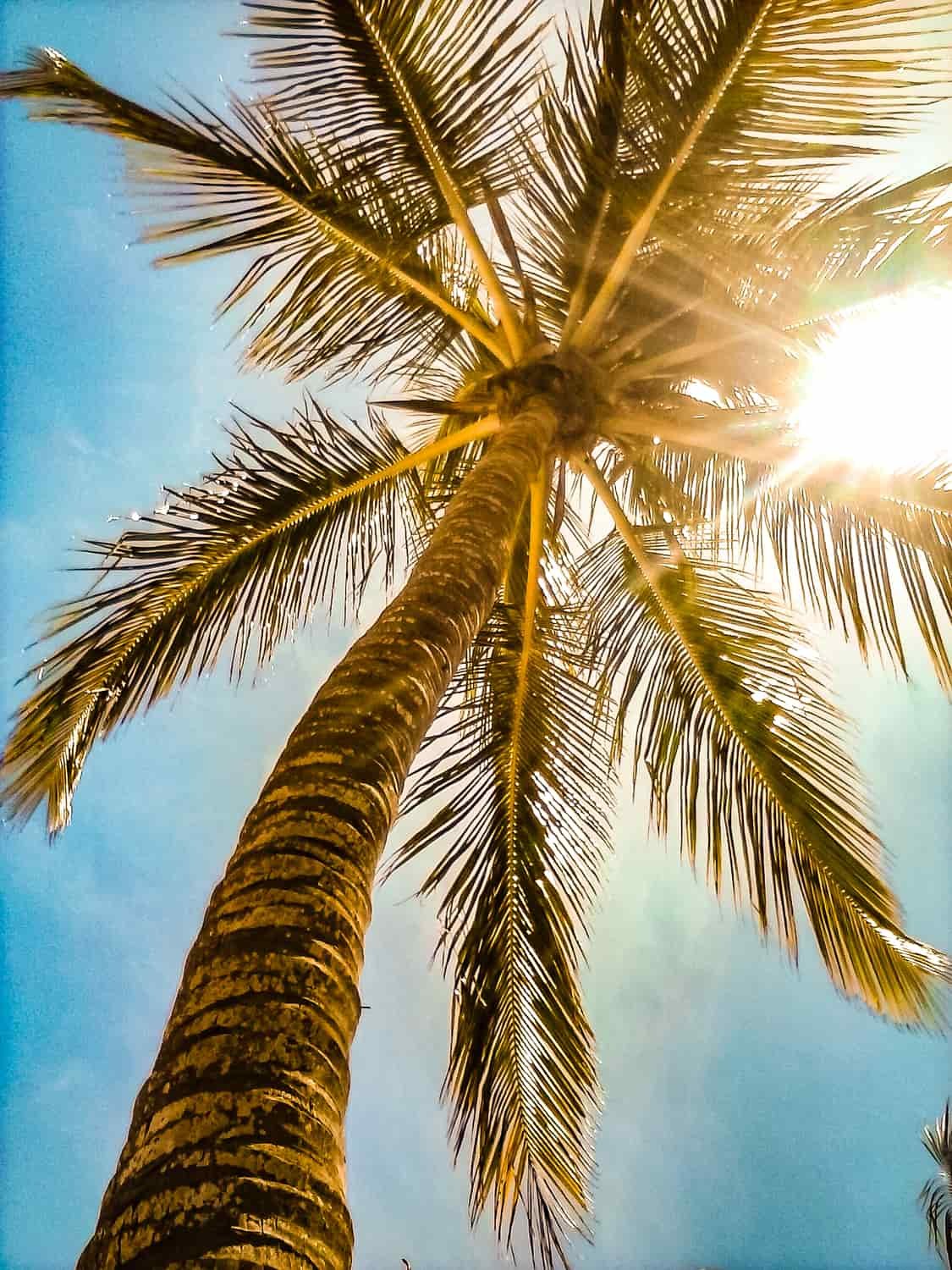 o que fazer em itacaré praias