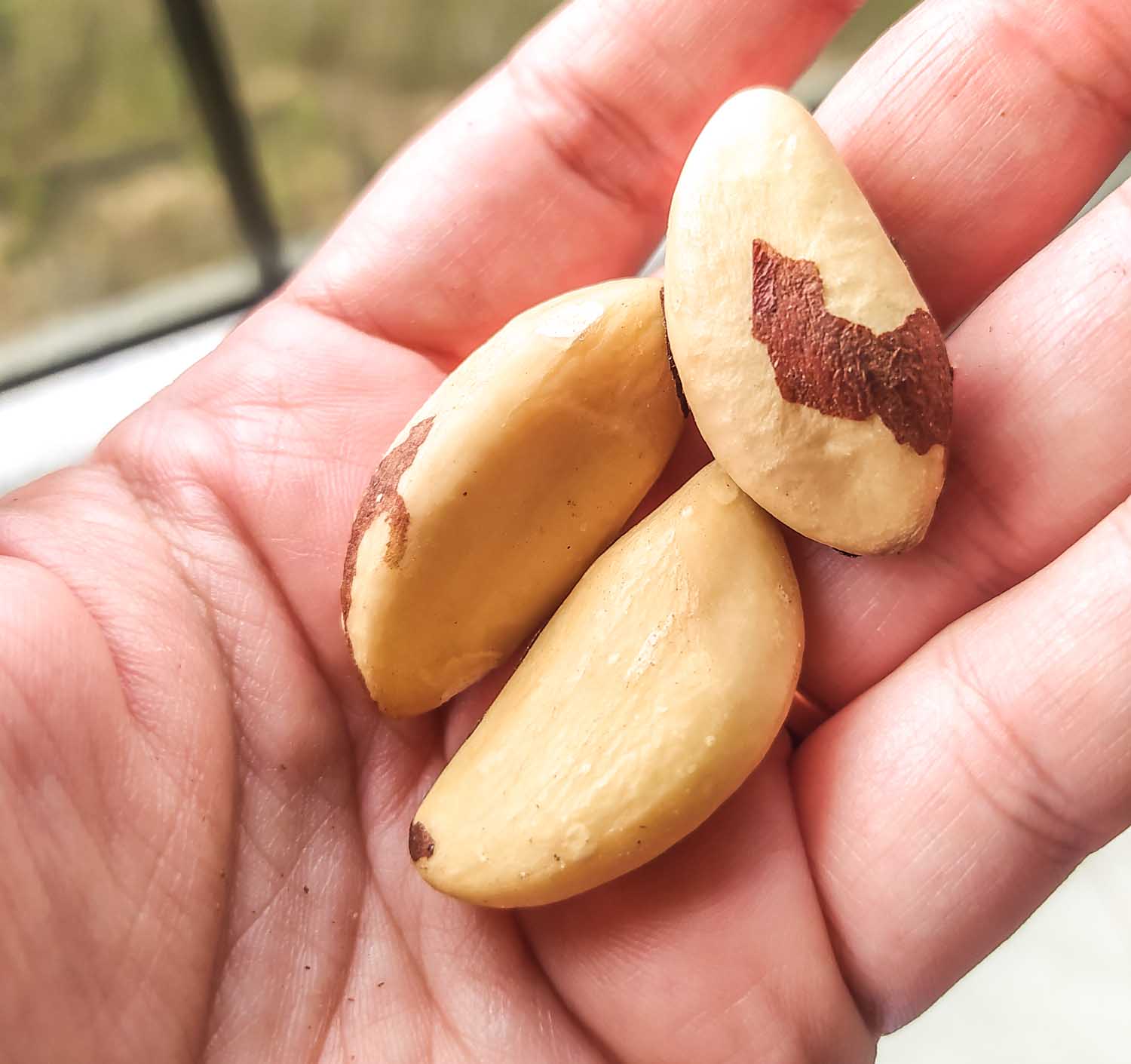 comidas tipicas do brasil