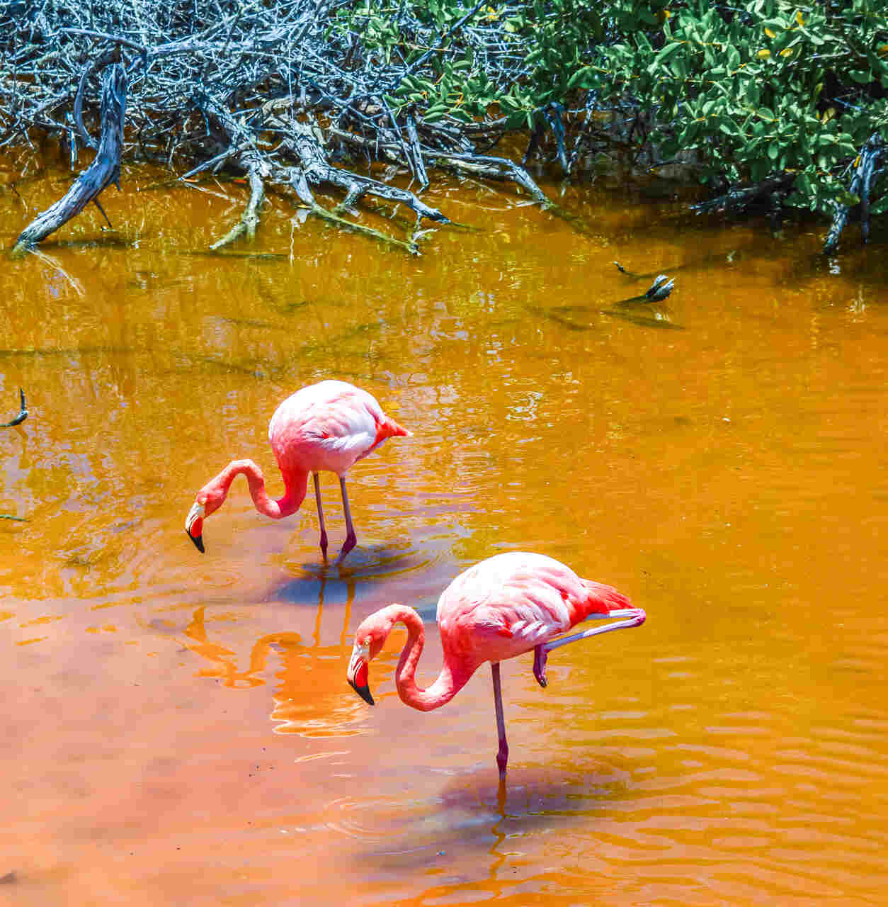 pontos turisticos do paraguai