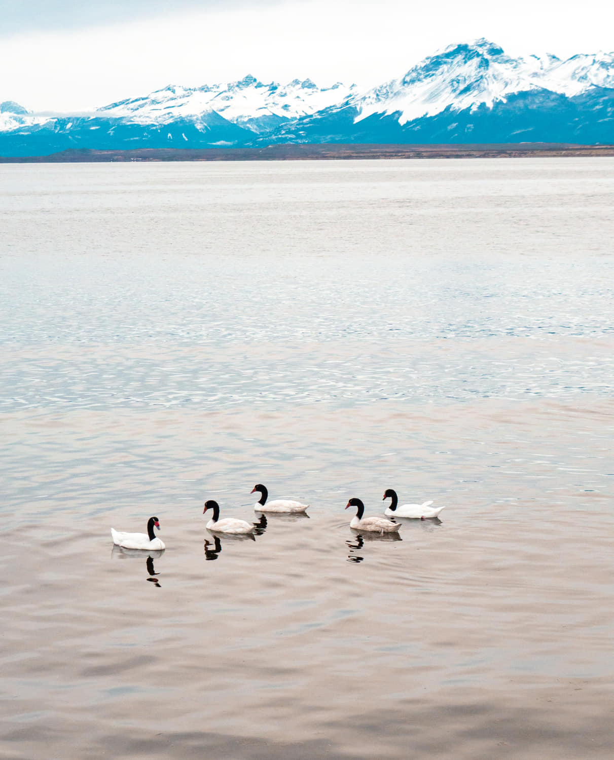 o que fazer em puerto natales