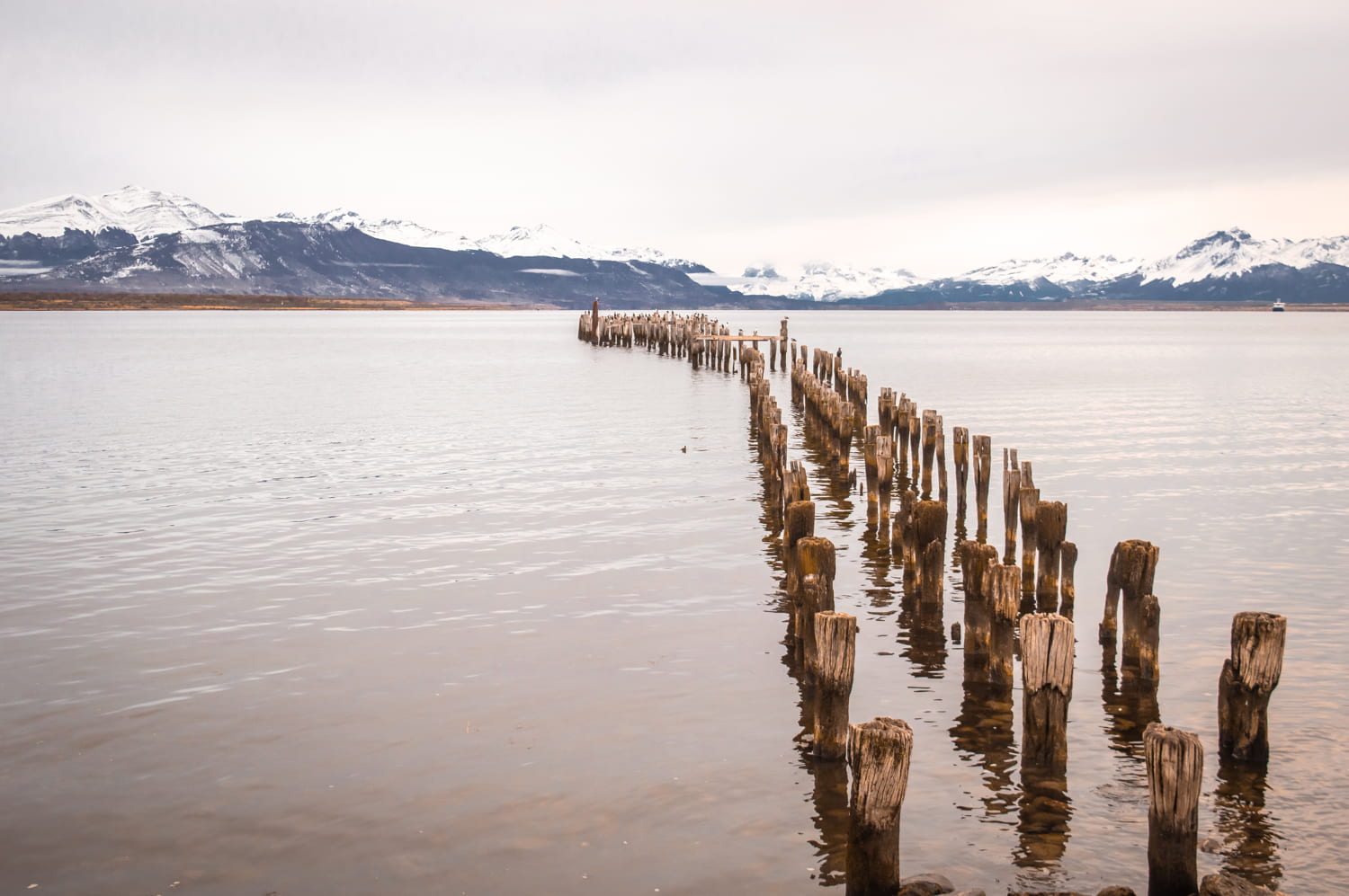 o que fazer em puerto natales