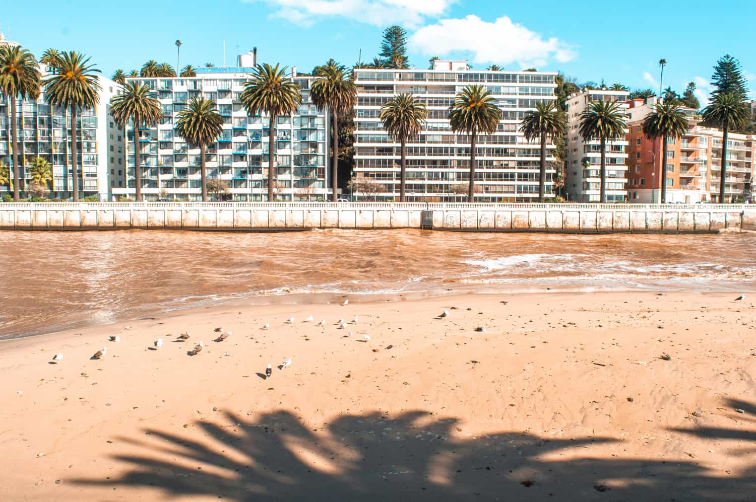 viña del mar e valparaiso