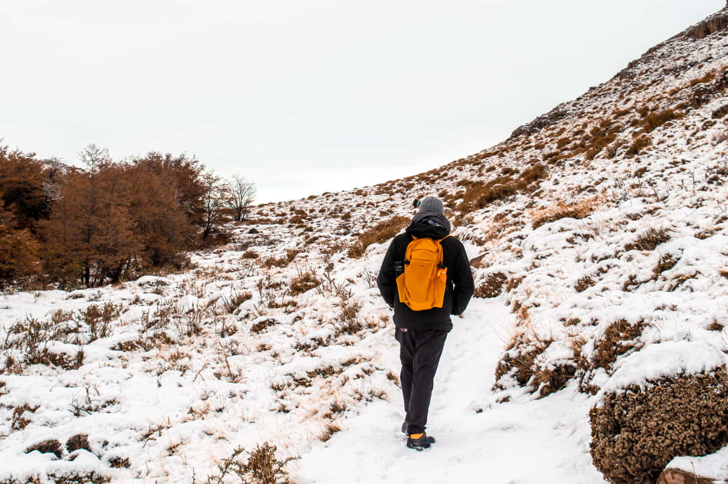 o que fazer em el chaltén inverno