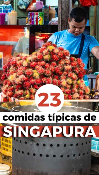 COMIDAS TIPICAS SINGAPURA